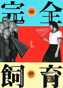 江上晚钟